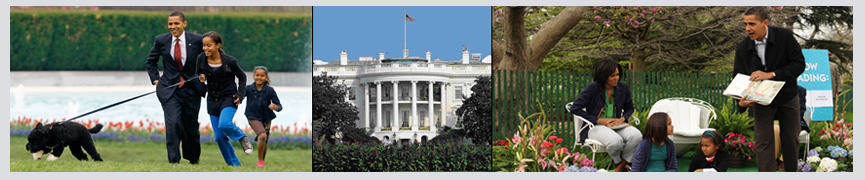 Random header image... Refresh for more!